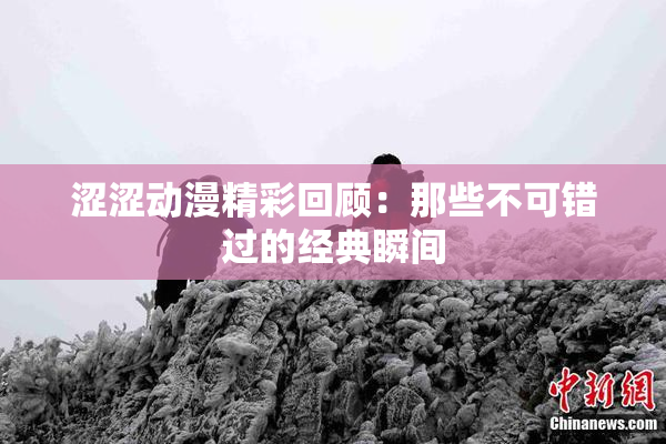 涩涩动漫精彩回顾：那些不可错过的经典瞬间