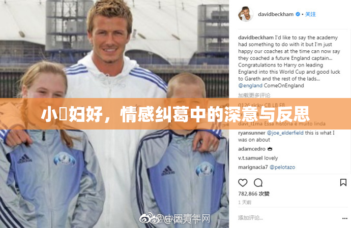 小婬妇好，情感纠葛中的深意与反思