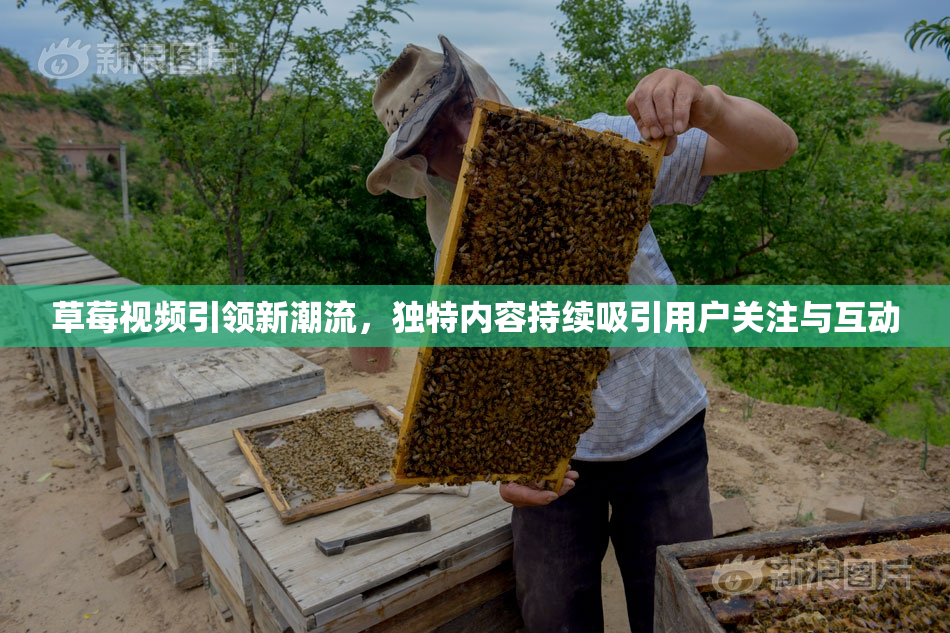 草莓视频引领新潮流，独特内容持续吸引用户关注与互动
