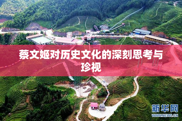 蔡文姬对历史文化的深刻思考与珍视