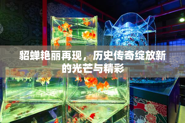 貂蝉艳丽再现，历史传奇绽放新的光芒与精彩