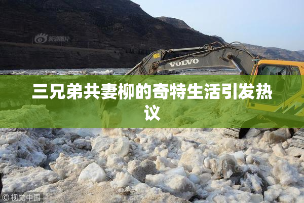 三兄弟共妻柳的奇特生活引发热议