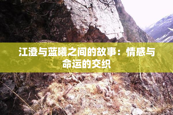 江澄与蓝曦之间的故事：情感与命运的交织