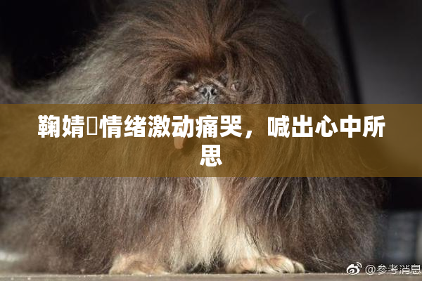 鞠婧祎情绪激动痛哭，喊出心中所思