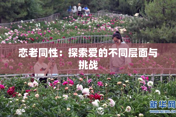 恋老同性：探索爱的不同层面与挑战