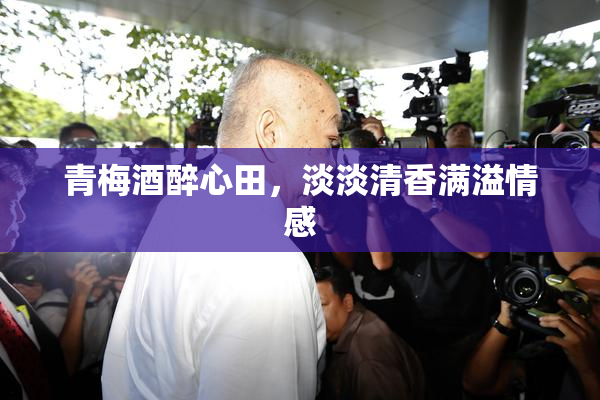 青梅酒醉心田，淡淡清香满溢情感