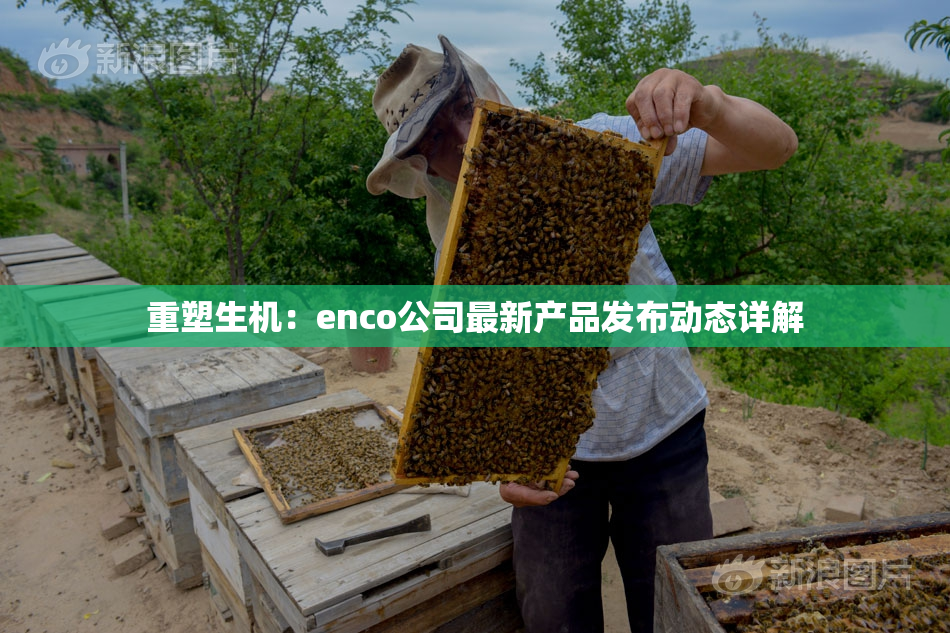 重塑生机：enco公司最新产品发布动态详解