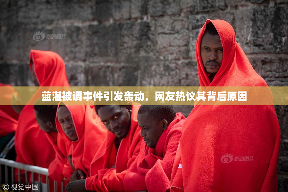 蓝湛被调事件引发轰动，网友热议其背后原因