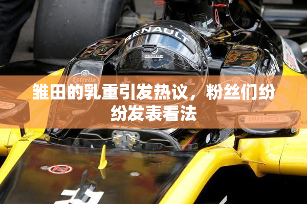 雏田的乳重引发热议，粉丝们纷纷发表看法