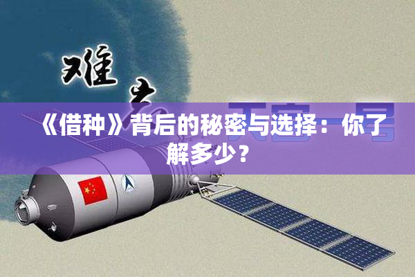 《借种》背后的秘密与选择：你了解多少？
