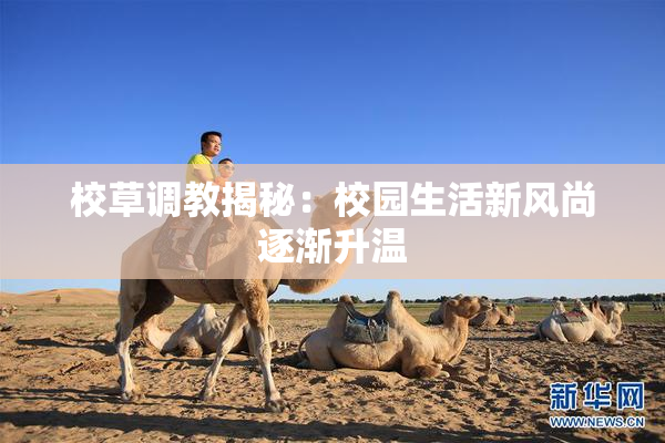 校草调教揭秘：校园生活新风尚逐渐升温