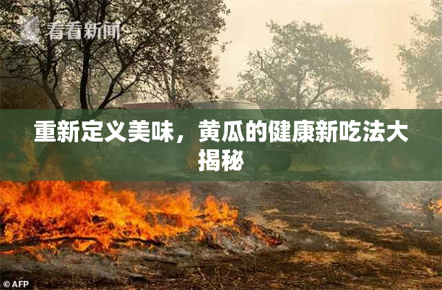 重新定义美味，黄瓜的健康新吃法大揭秘