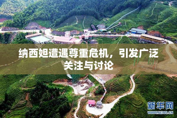纳西妲遭遇尊重危机，引发广泛关注与讨论