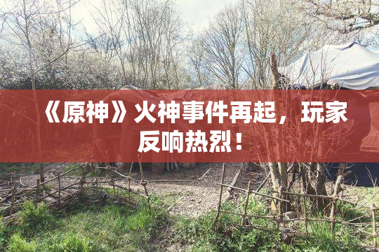 《原神》火神事件再起，玩家反响热烈！