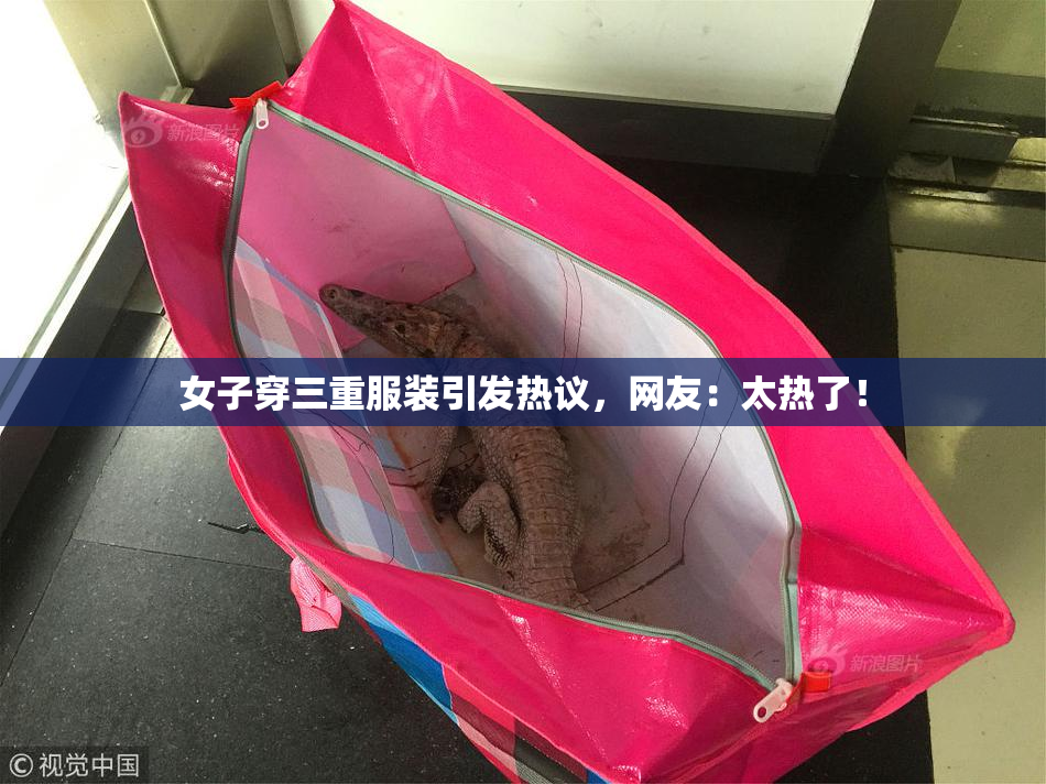 女子穿三重服装引发热议，网友：太热了！