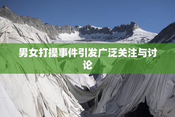男女打搡事件引发广泛关注与讨论