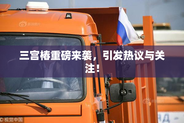 三宫椿重磅来袭，引发热议与关注！