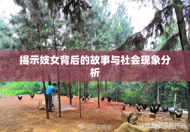 揭示妓女背后的故事与社会现象分析