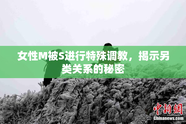 女性M被S进行特殊调教，揭示另类关系的秘密
