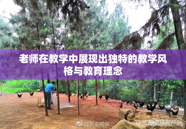 老师在教学中展现出独特的教学风格与教育理念