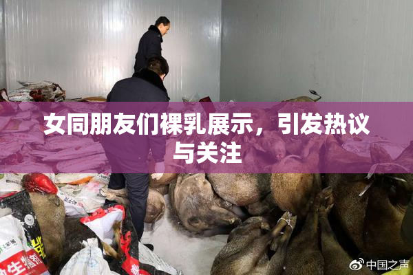 女同朋友们裸乳展示，引发热议与关注