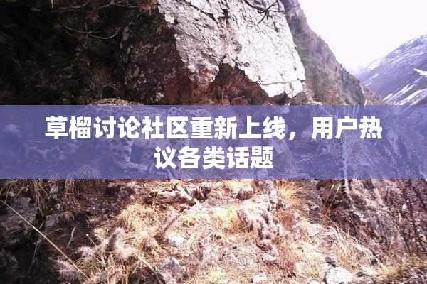 草榴讨论社区重新上线，用户热议各类话题