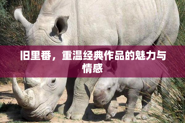 旧里番，重温经典作品的魅力与情感