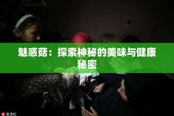 魅惑菇：探索神秘的美味与健康秘密