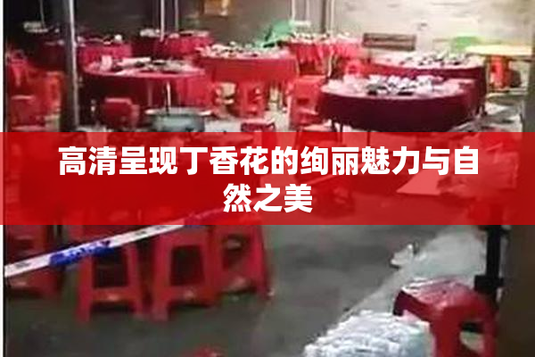 高清呈现丁香花的绚丽魅力与自然之美