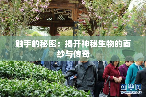 触手的秘密：揭开神秘生物的面纱与传奇