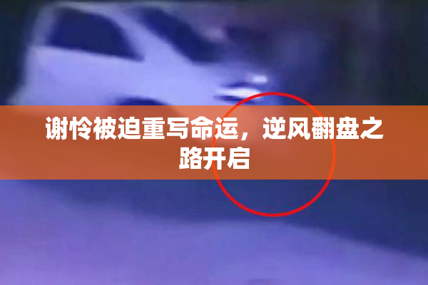 谢怜被迫重写命运，逆风翻盘之路开启