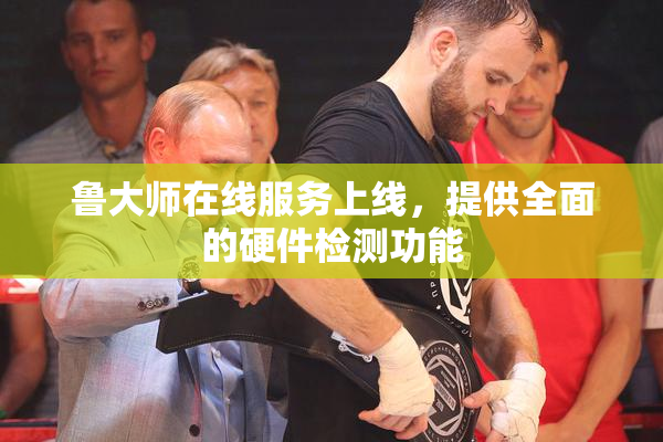 鲁大师在线服务上线，提供全面的硬件检测功能