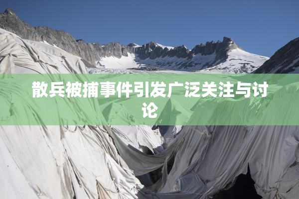 散兵被捕事件引发广泛关注与讨论