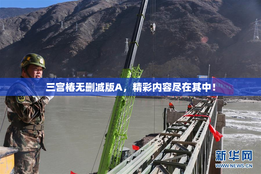 三宫椿无删减版A，精彩内容尽在其中！