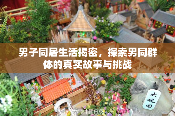 男子同居生活揭密，探索男同群体的真实故事与挑战