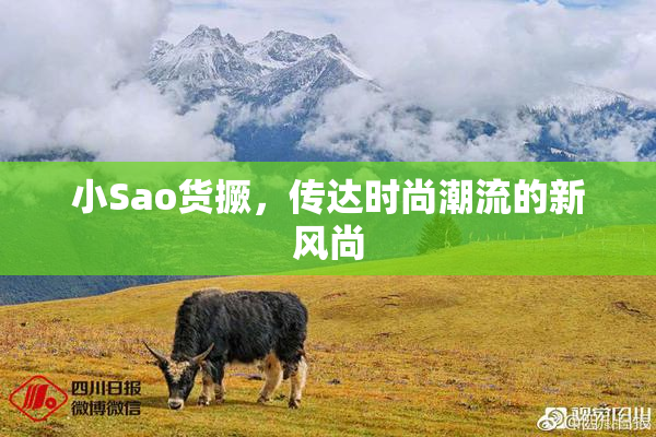 小Sao货撅，传达时尚潮流的新风尚