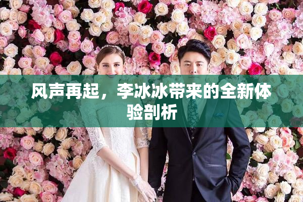 风声再起，李冰冰带来的全新体验剖析
