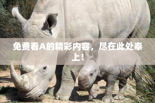 免费看A的精彩内容，尽在此处奉上！
