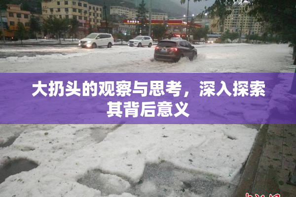 大扔头的观察与思考，深入探索其背后意义