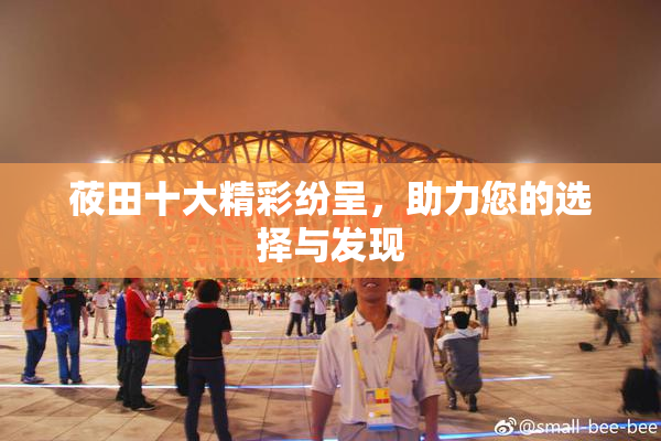 莜田十大精彩纷呈，助力您的选择与发现