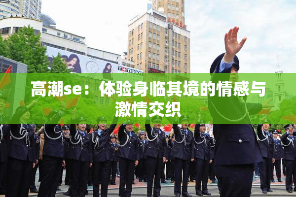 高潮se：体验身临其境的情感与激情交织