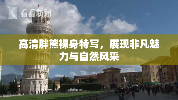 高清胖熊裸身特写，展现非凡魅力与自然风采