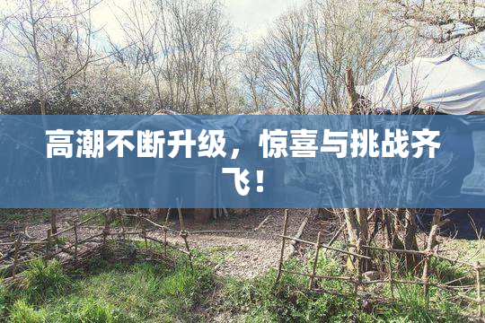 高潮不断升级，惊喜与挑战齐飞！