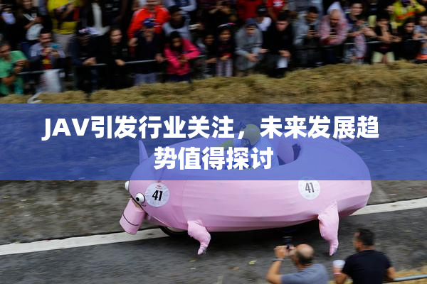 JAV引发行业关注，未来发展趋势值得探讨