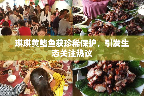 琪琪黄鳍鱼获珍稀保护，引发生态关注热议