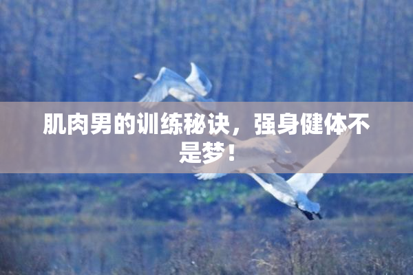 肌肉男的训练秘诀，强身健体不是梦！