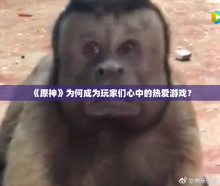 《原神》为何成为玩家们心中的热爱游戏？