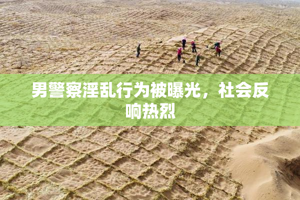 男警察淫乱行为被曝光，社会反响热烈