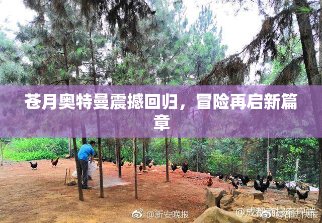 苍月奥特曼震撼回归，冒险再启新篇章