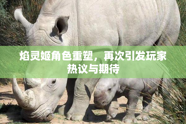 焰灵姬角色重塑，再次引发玩家热议与期待